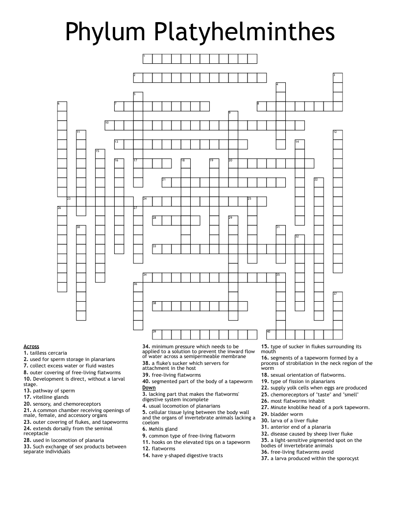 Phylum Platyhelminthes Crossword