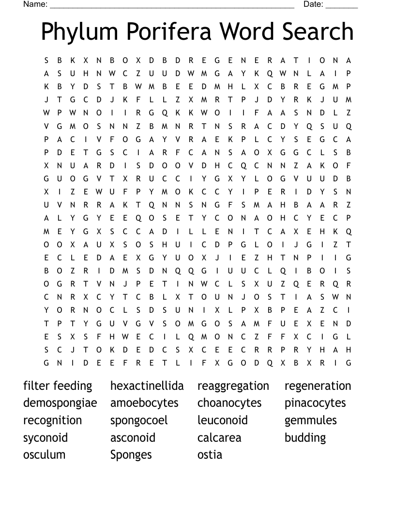 Phylum Porifera Word Search