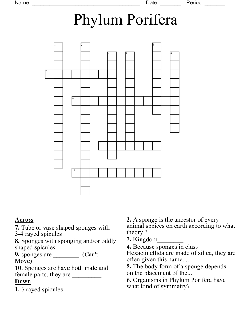Phylum Porifera  Crossword