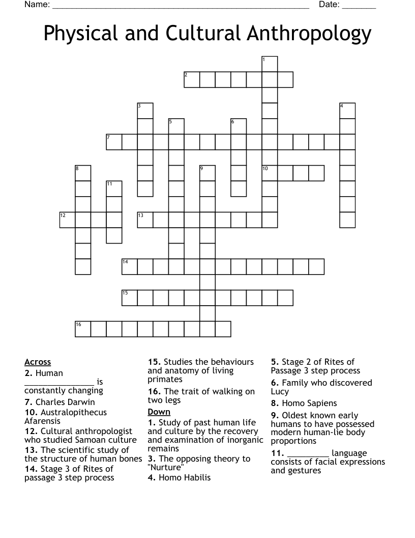 Physical and Cultural Anthropology Crossword