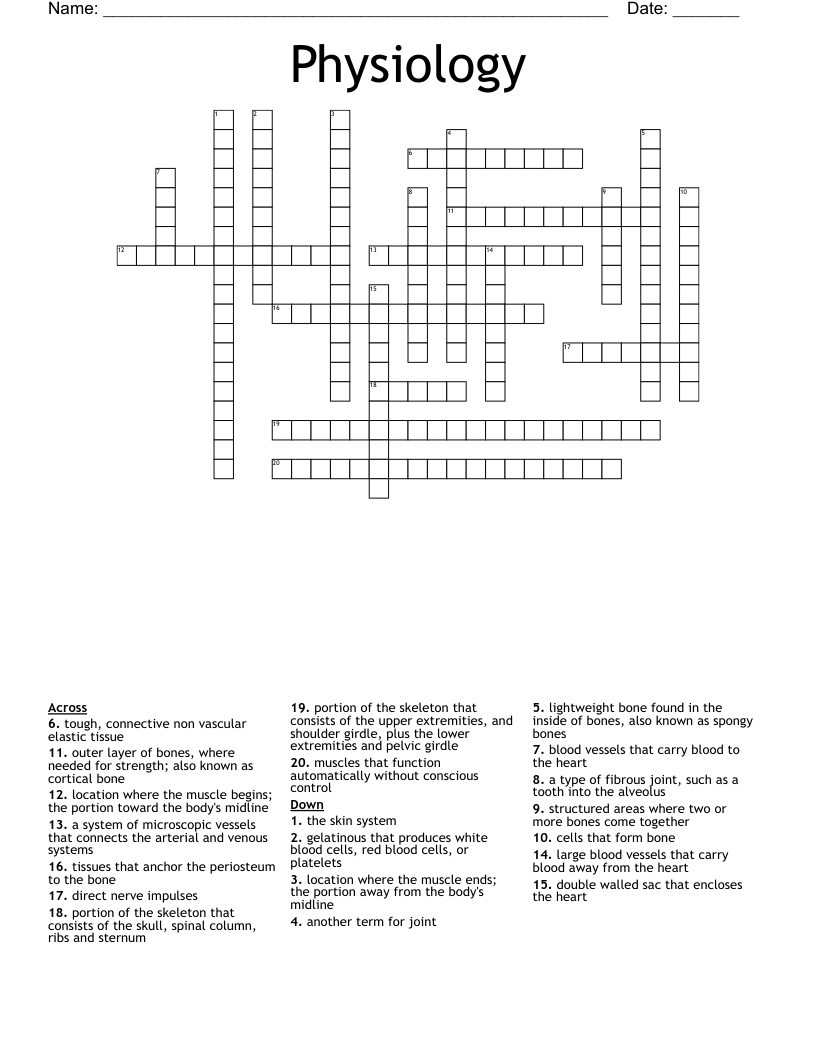 Physiology Crossword