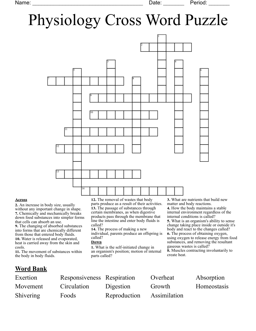 Physiology Cross Word Puzzle