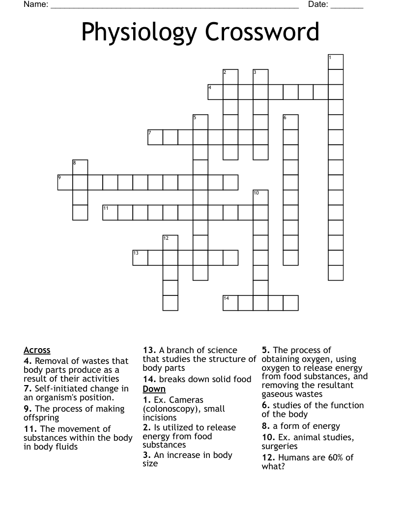Physiology Crossword