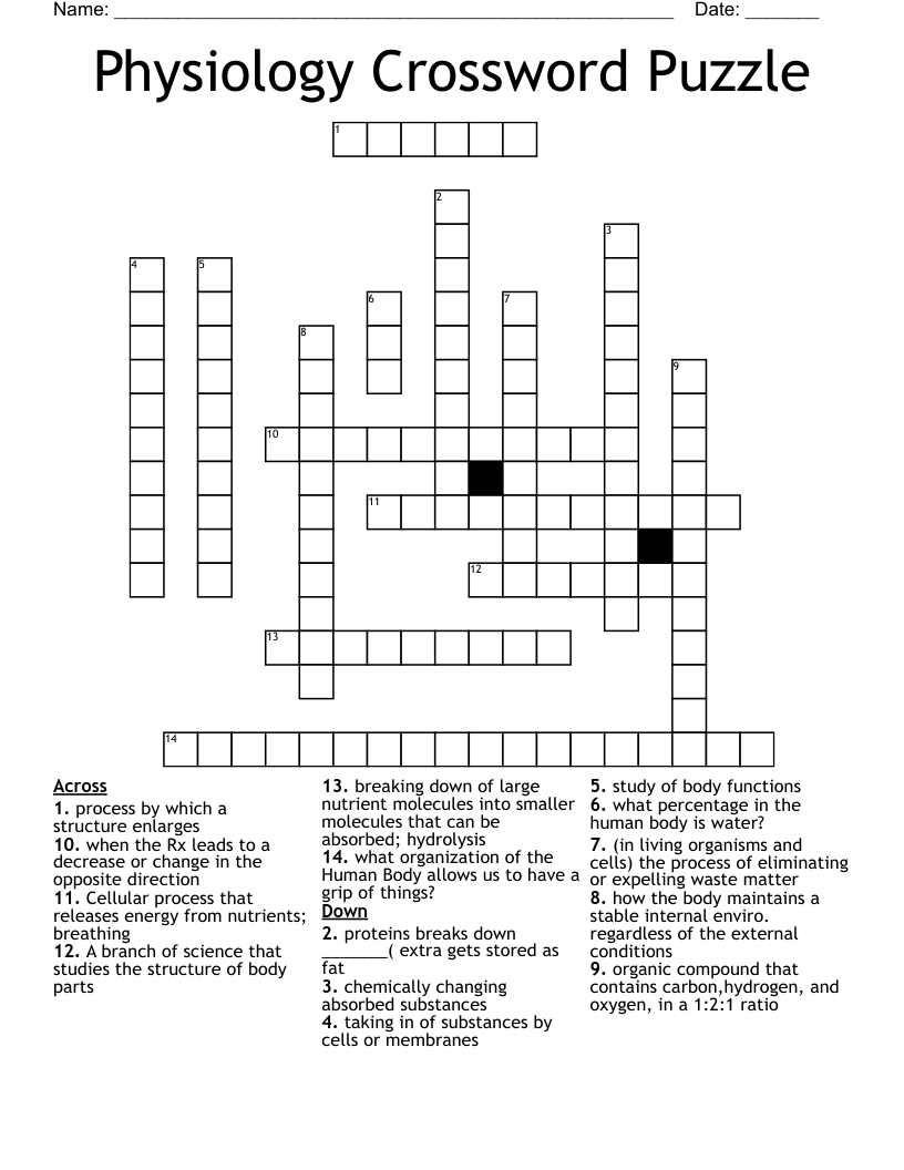 Physiology Crossword Puzzle