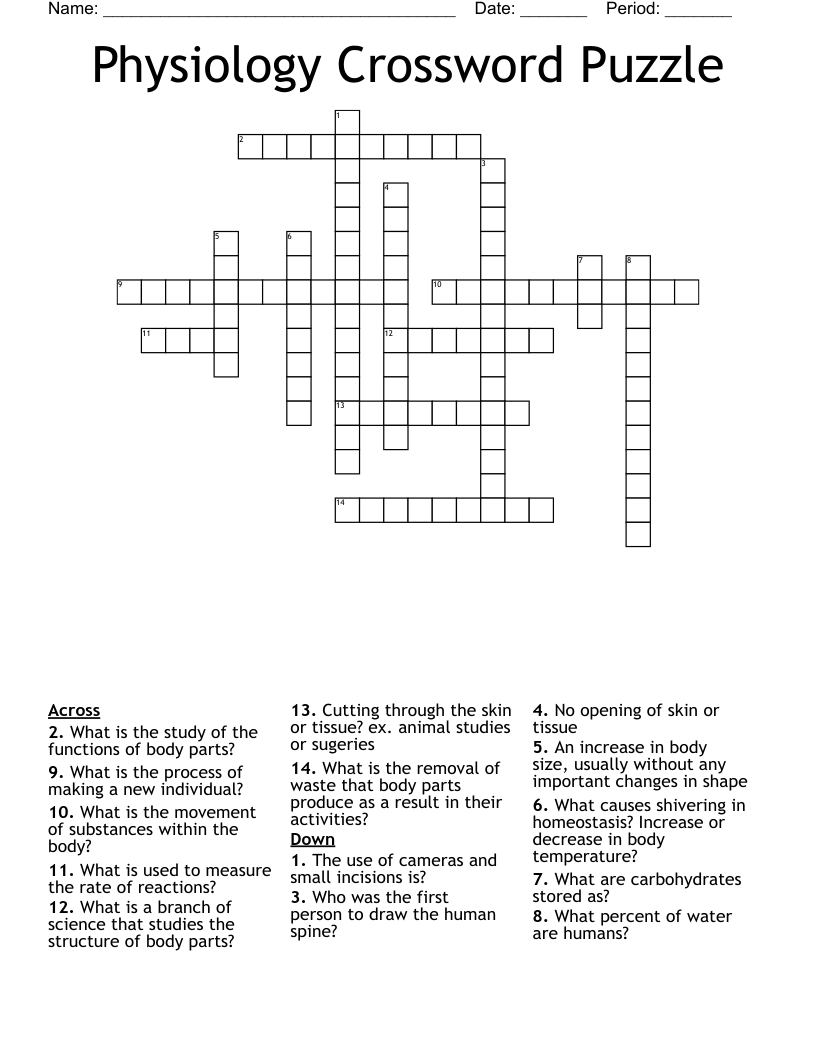 Physiology Crossword Puzzle 