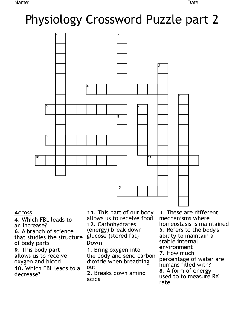 Physiology Crossword Puzzle part 2