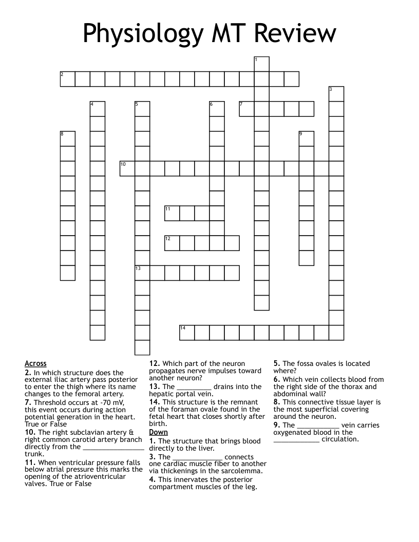 Physiology MT Review Crossword