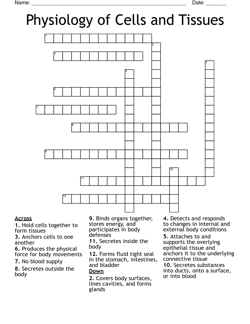 Physiology of Cells and Tissues Crossword