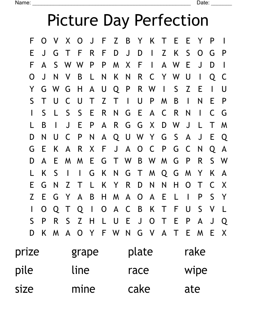 Picture Day Perfection Word Search
