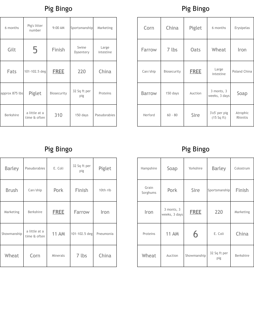 Pig Bingo