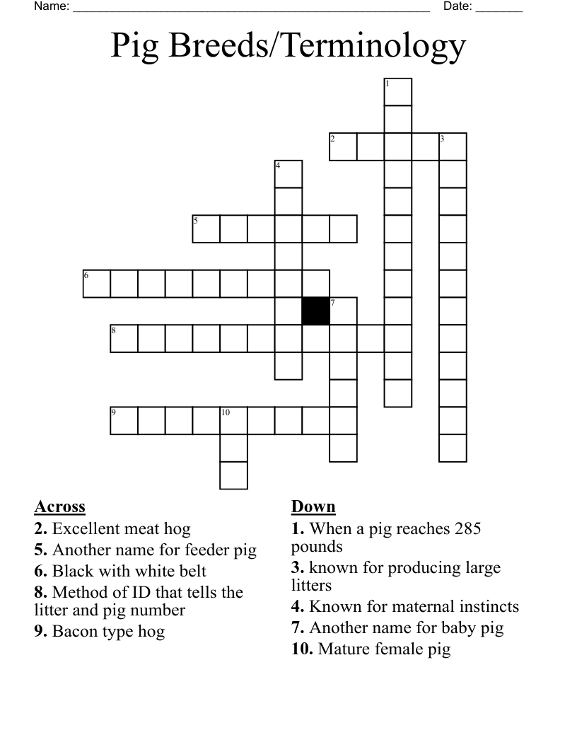 Pig Breeds/Terminology Crossword