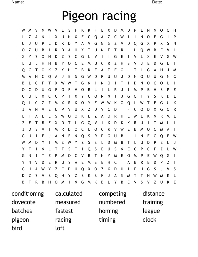 Pigeon racing Word Search