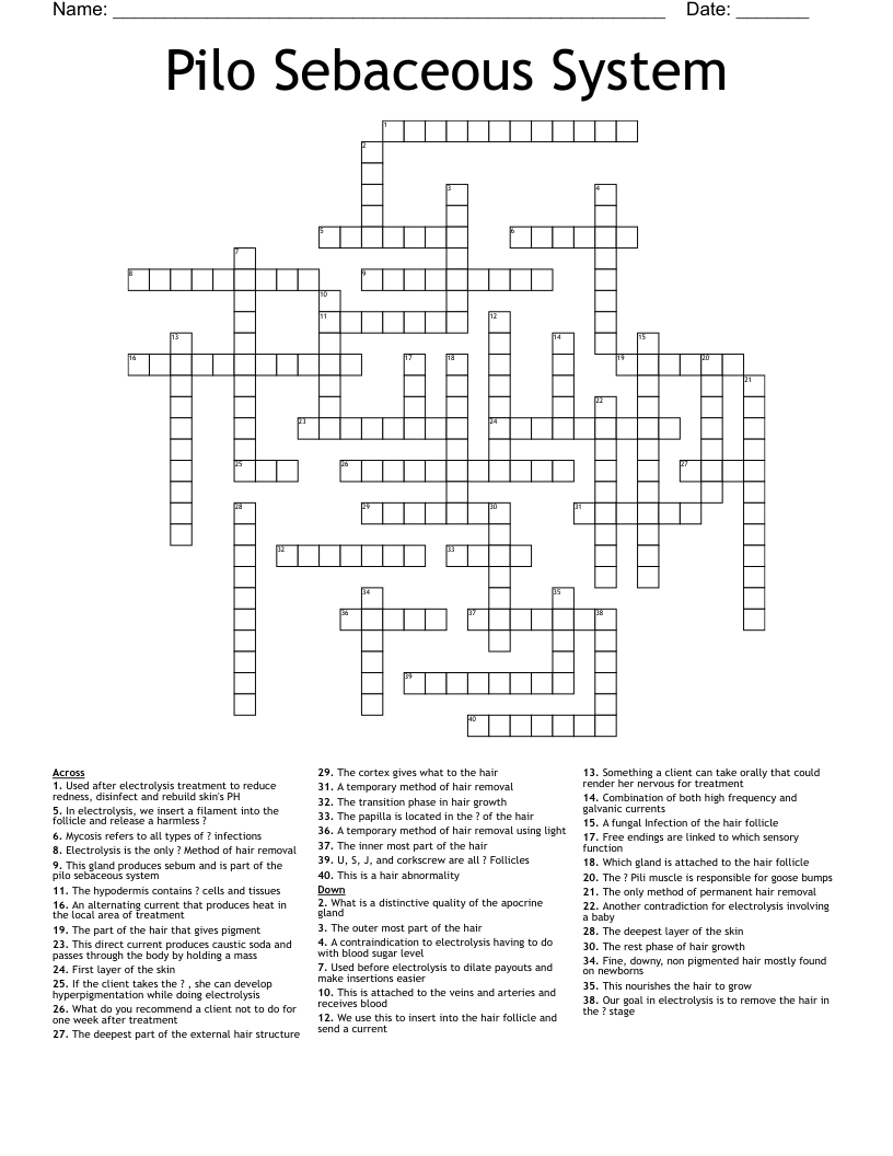 Pilo Sebaceous System Crossword