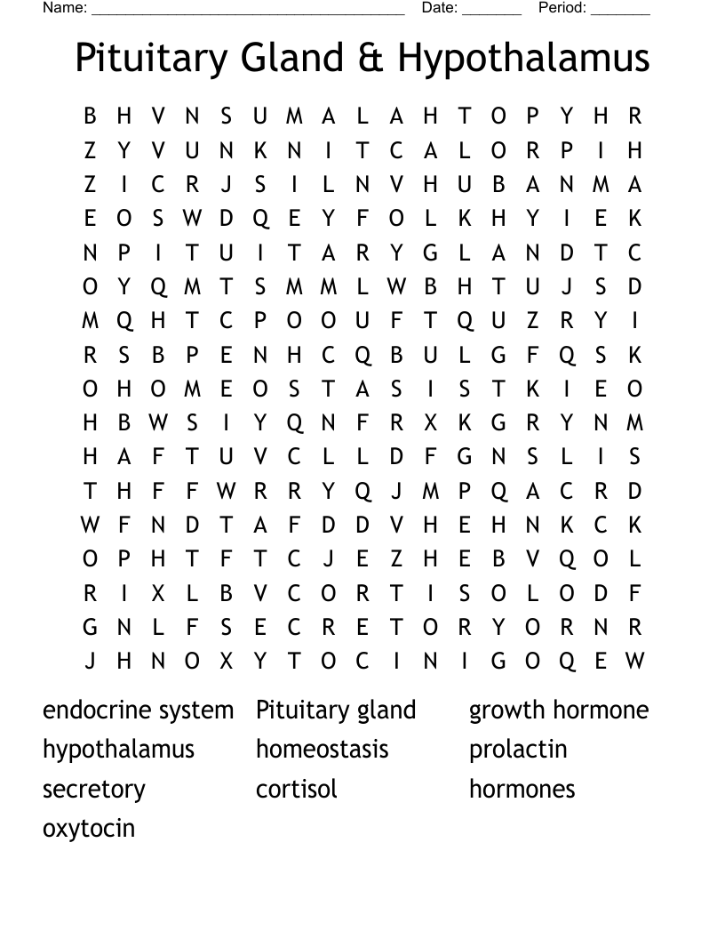 Pituitary Gland & Hypothalamus Word Search