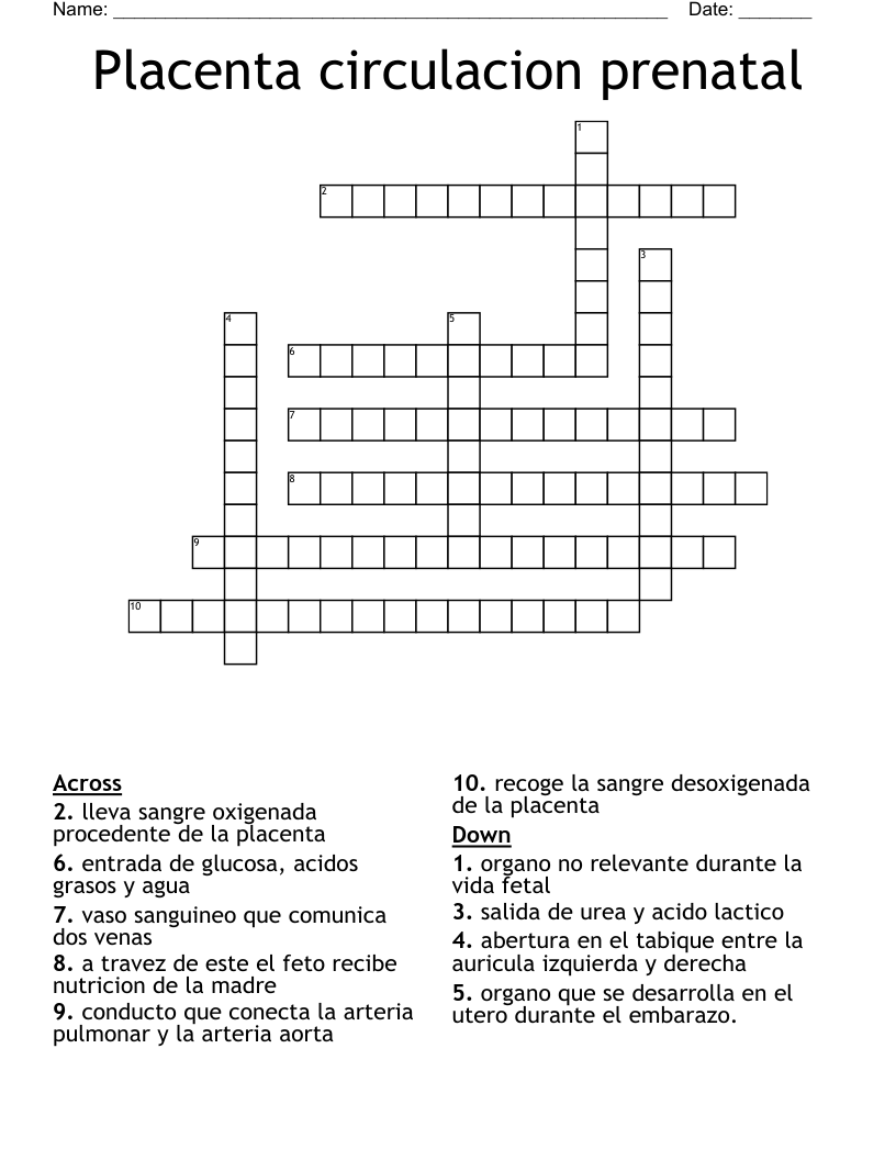Placenta circulacion prenatal Crossword