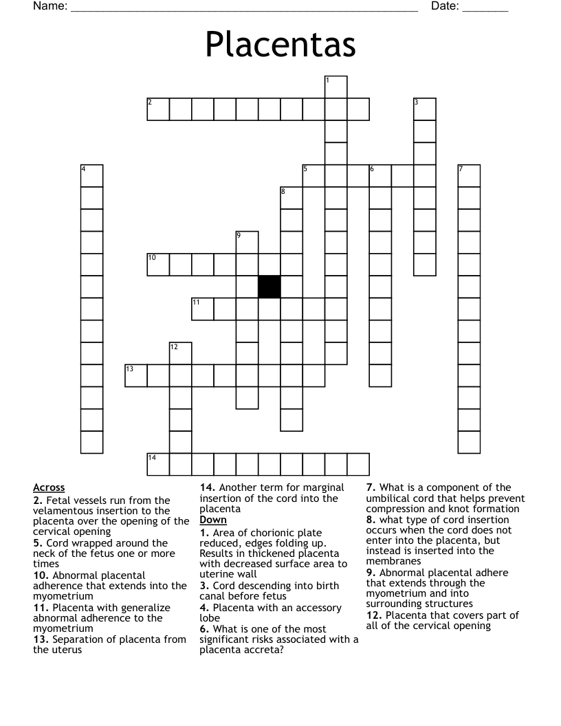 Placentas Crossword