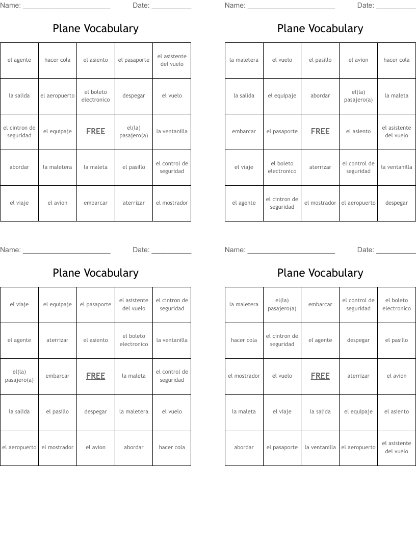 Plane Vocabulary Bingo Cards