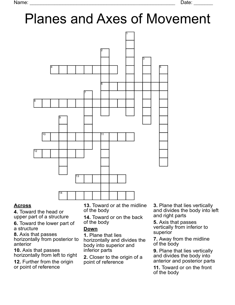 Planes and Axes of Movement Crossword