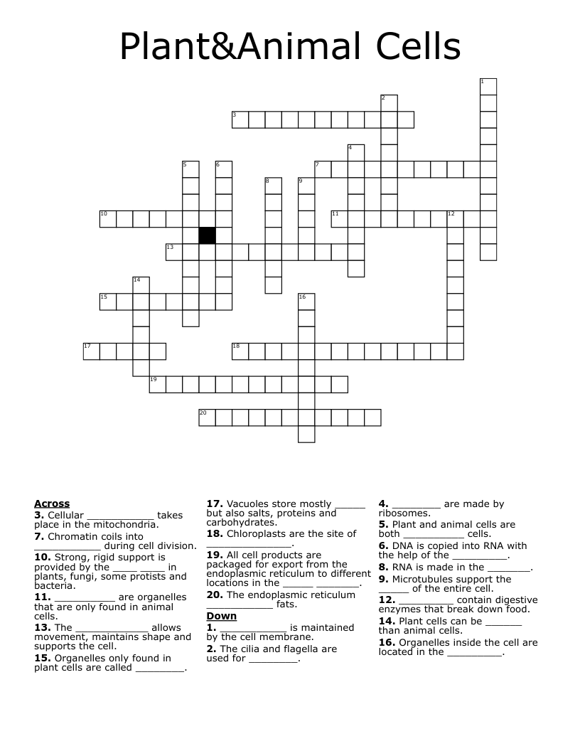 Plant&Animal Cells Crossword