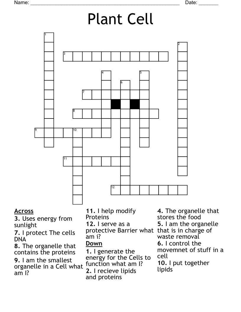 Plant Cell Crossword