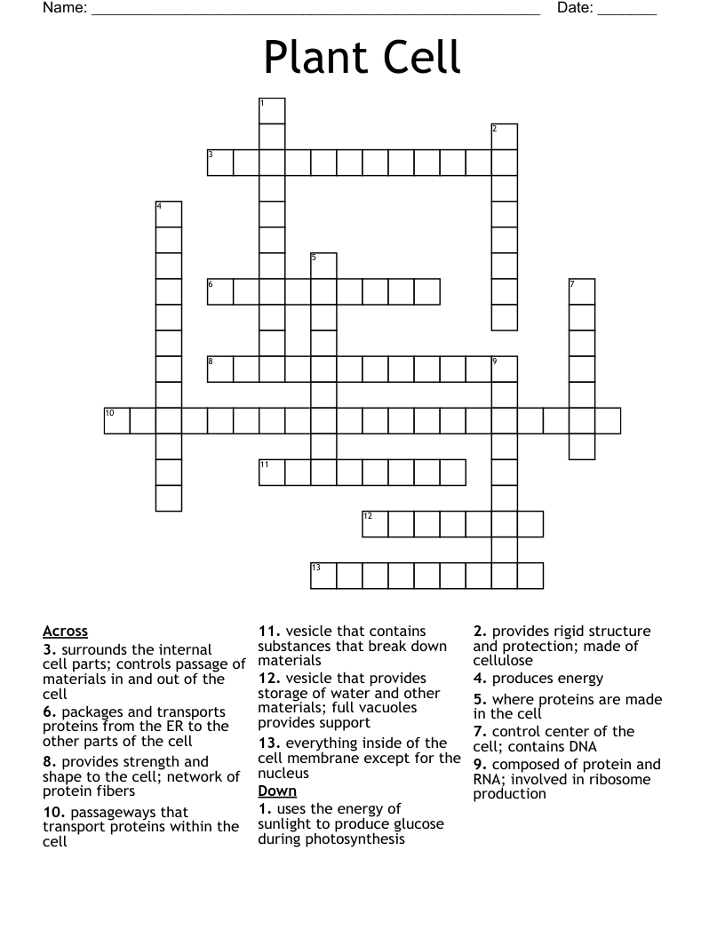Plant Cell Crossword
