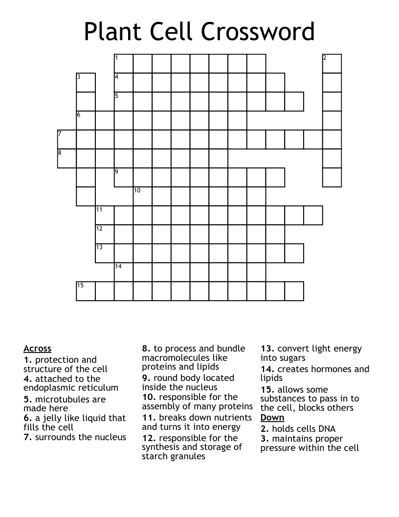 Plant Cell Crossword