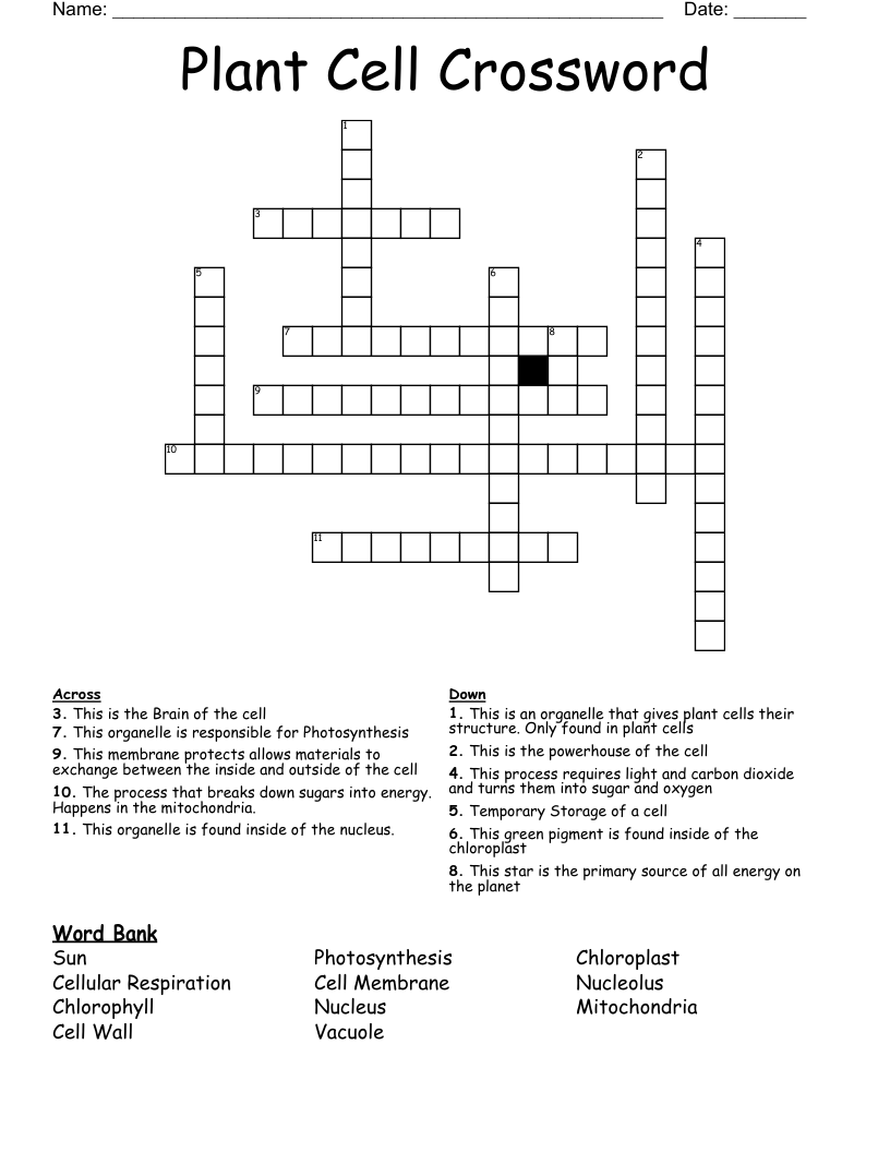 Plant Cell Crossword