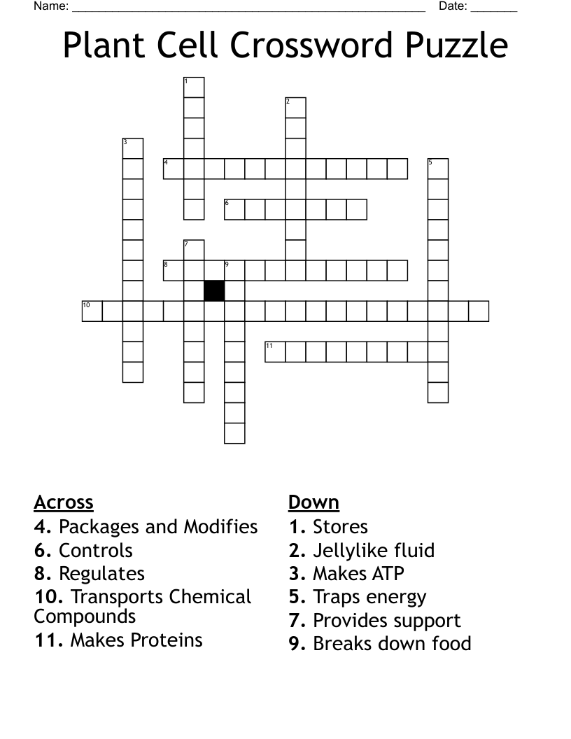 Plant Cell Crossword Puzzle