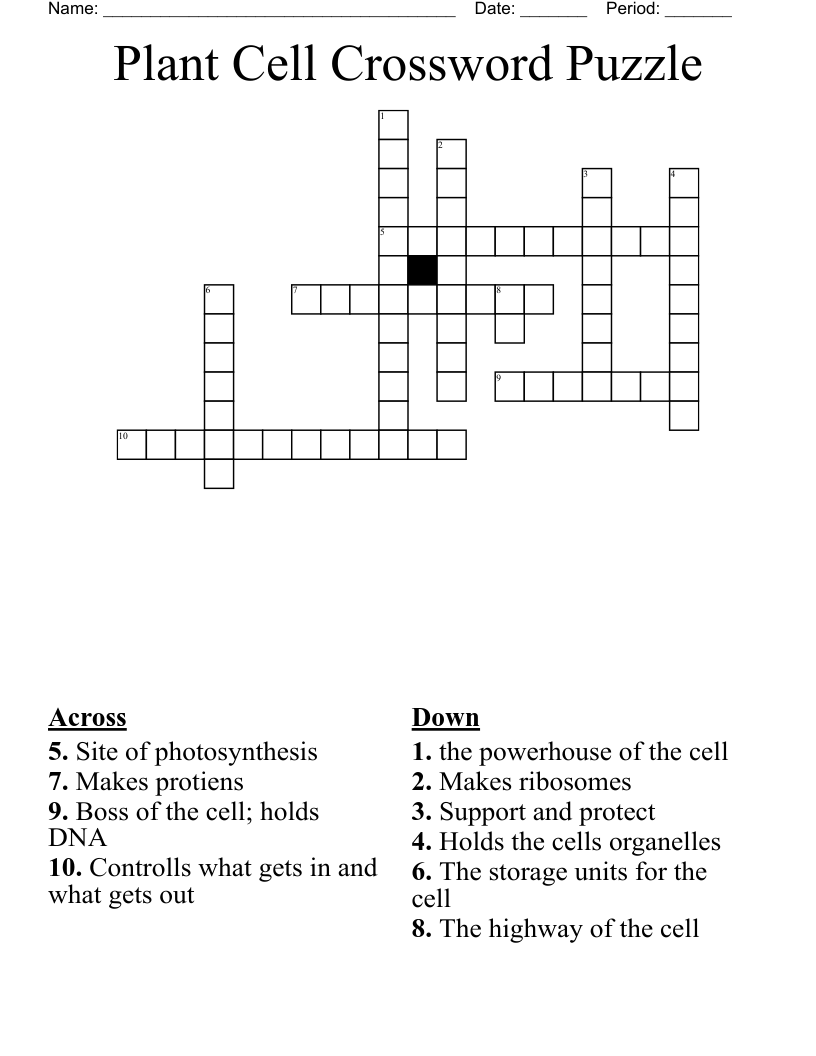 Plant Cell Crossword Puzzle