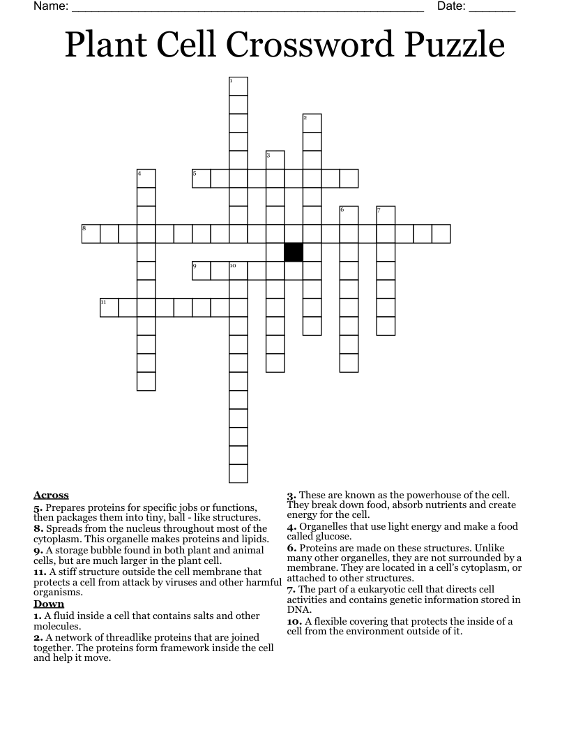 Plant Cell Crossword Puzzle