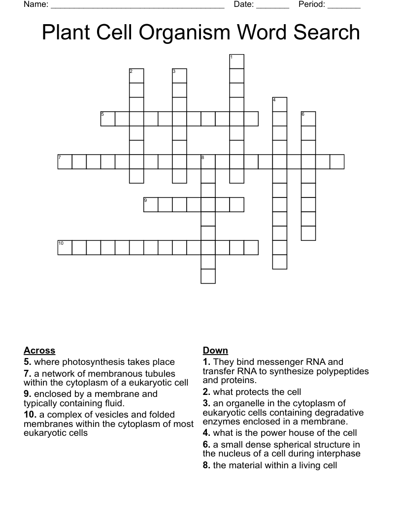 Plant Cell Organism Word Search Crossword