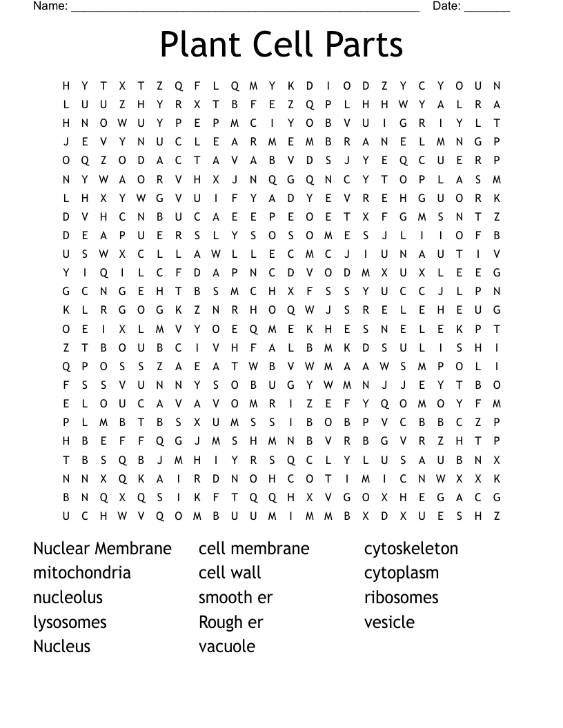 Plant Cell Parts Word Search