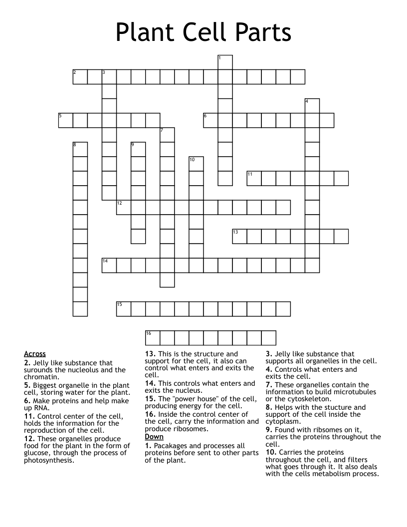 Plant Cell Parts Crossword