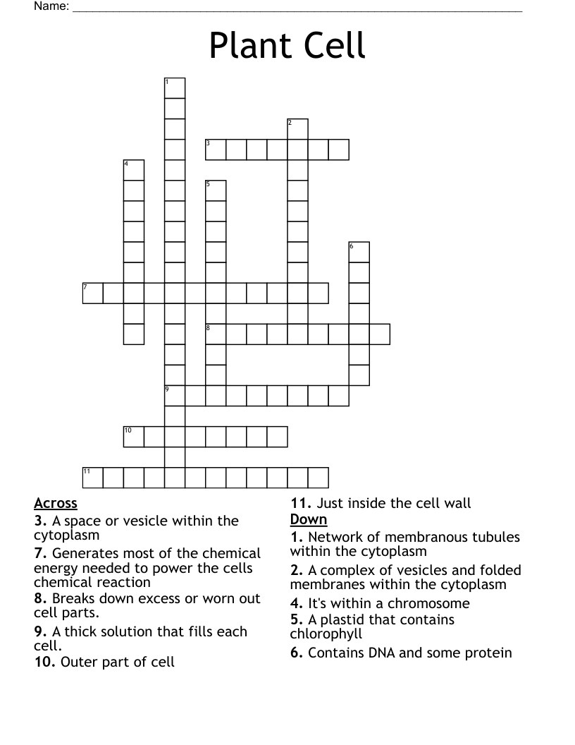 Plant Cell  Crossword