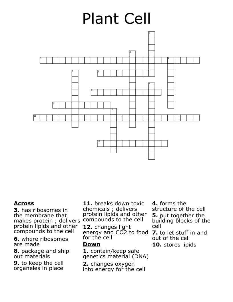 Plant Cell  Crossword