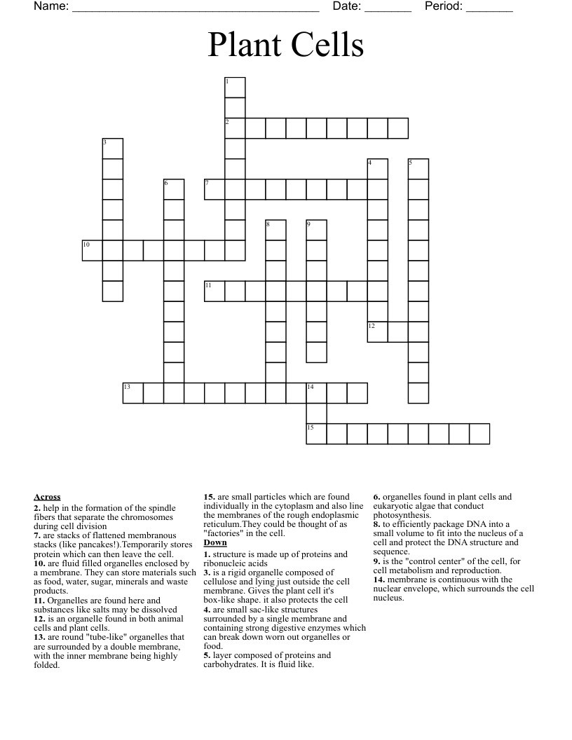 Plant Cells Crossword