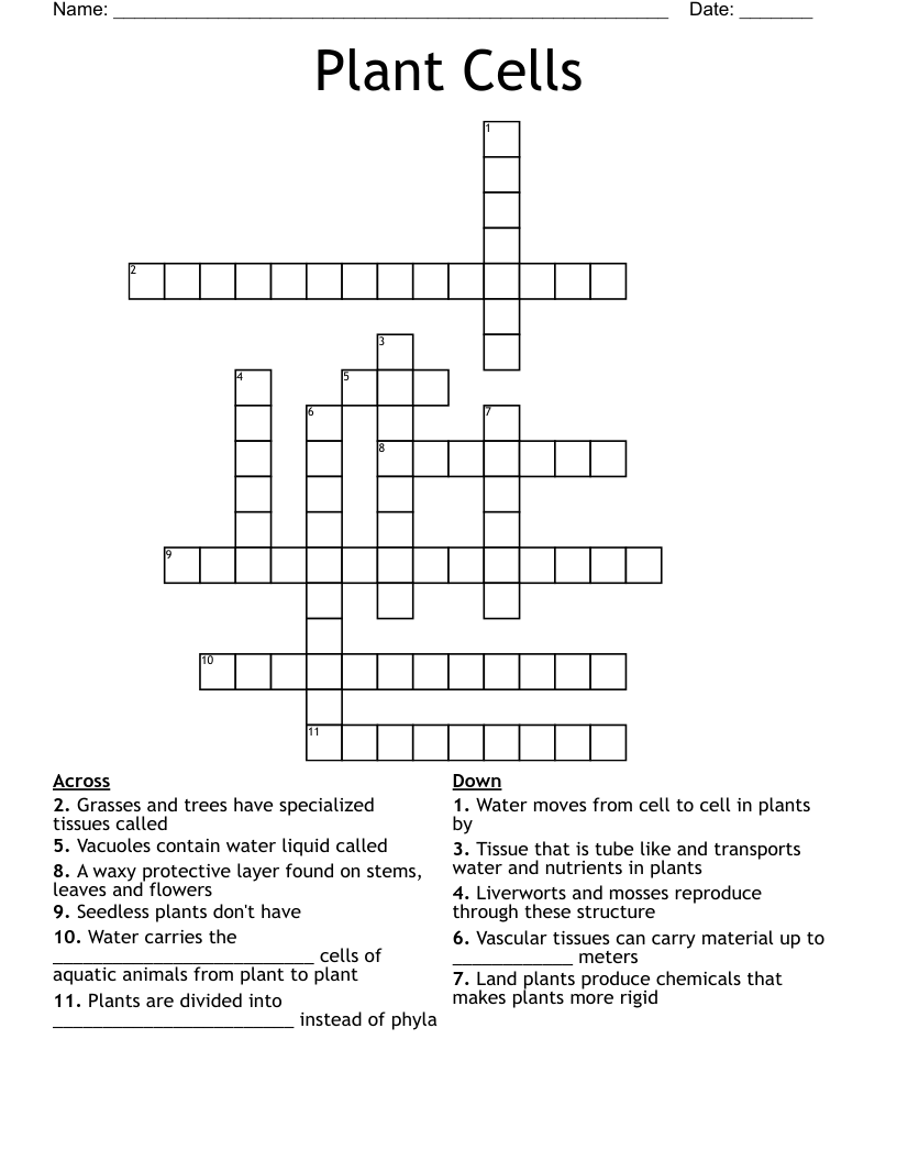 Plant Cells Crossword