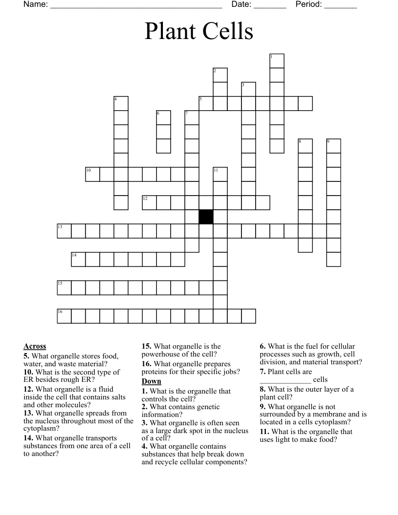 Plant Cells Crossword