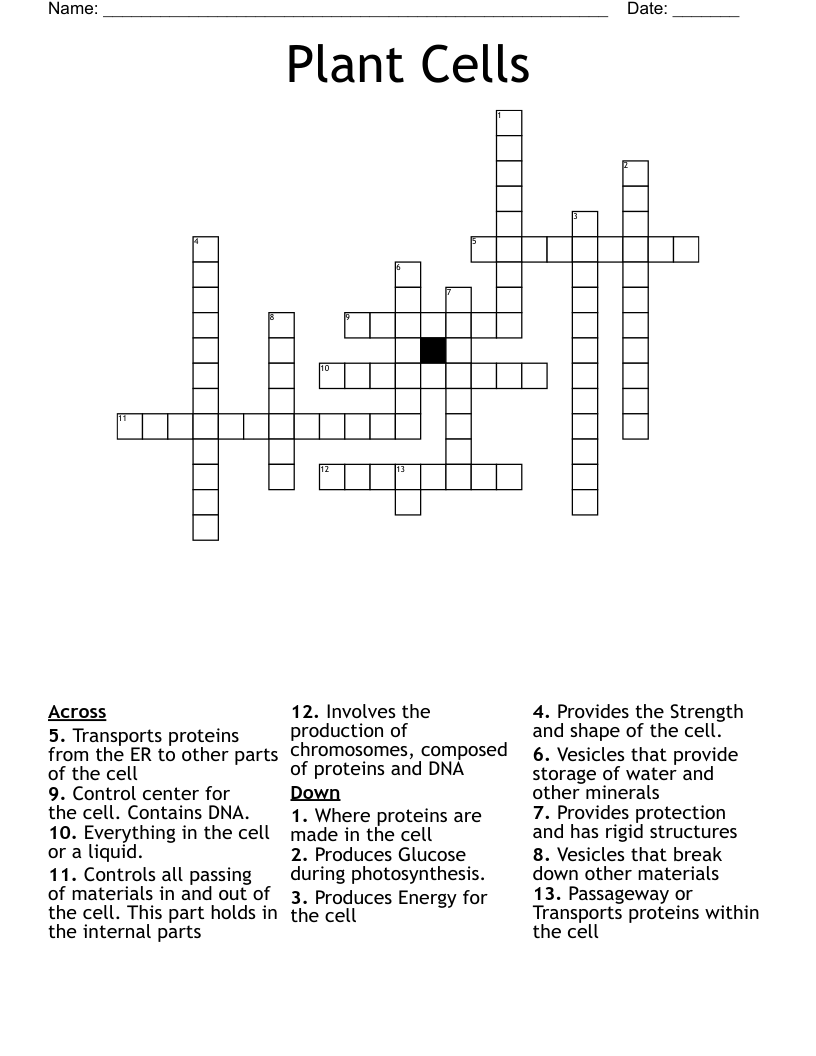 Plant Cells Crossword