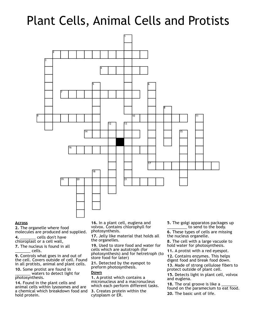 Plant Cells, Animal Cells and Protists Crossword