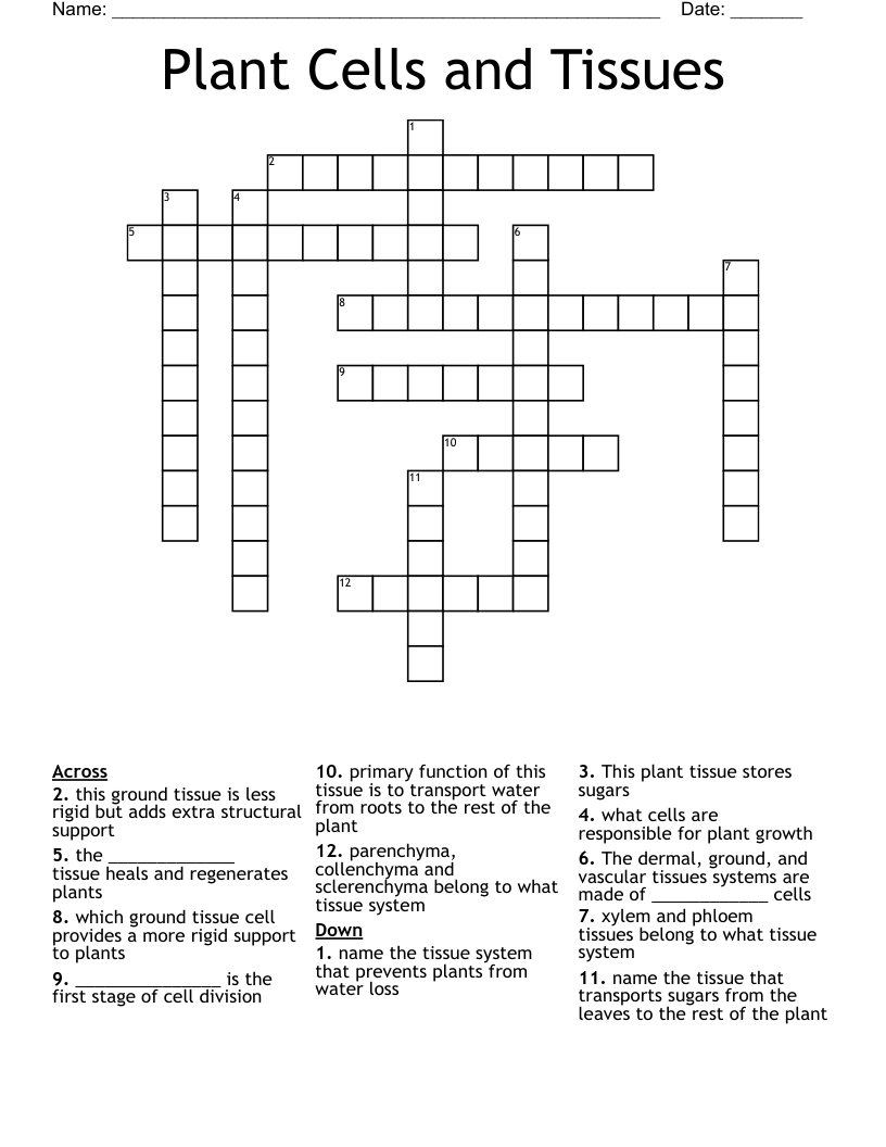 Plant Cells and Tissues Crossword