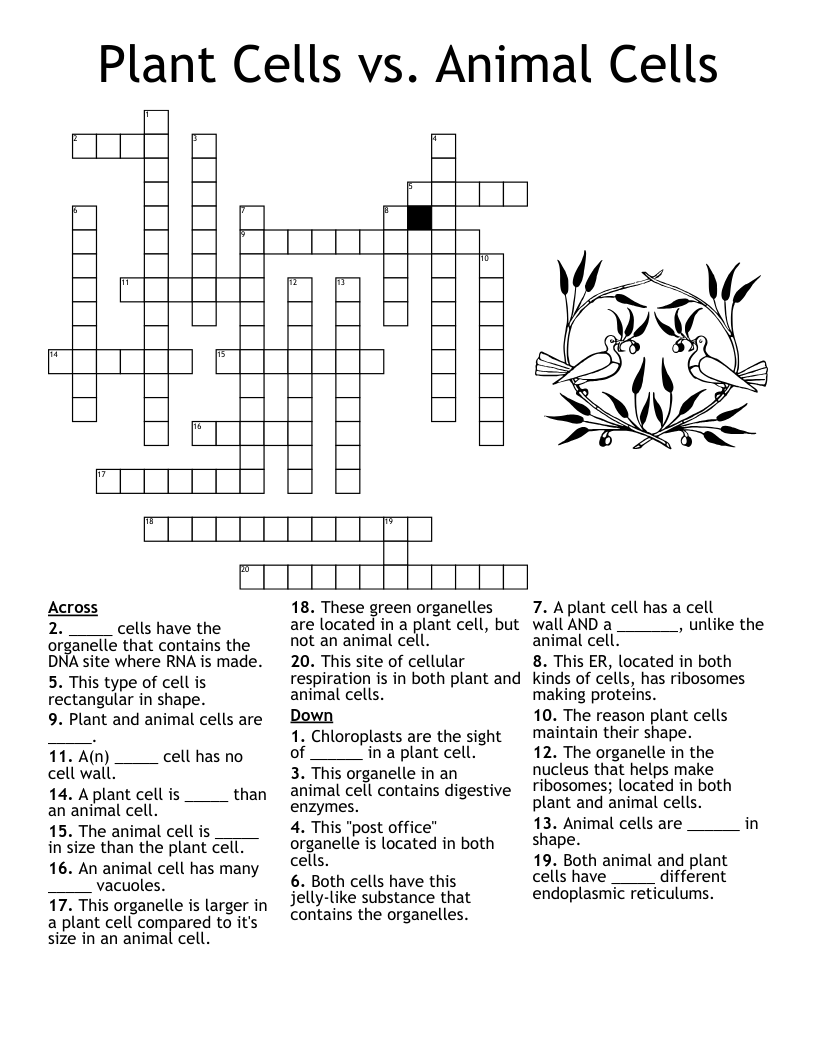Plant Cells vs. Animal Cells Crossword