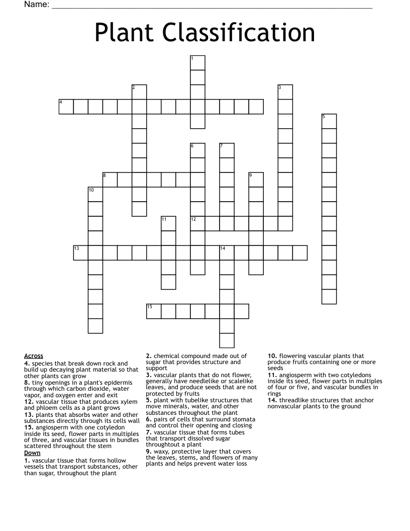 Plant Classification Crossword