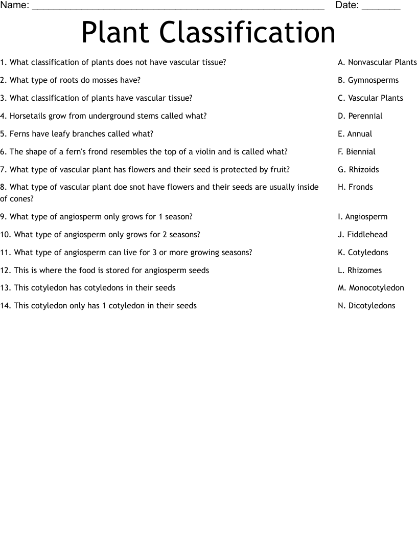 Plant Classification  Worksheet