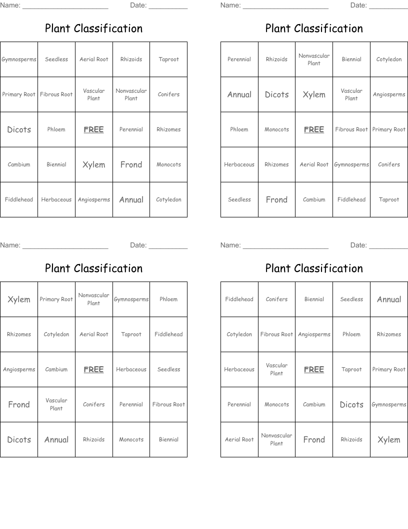 Plant Classification  Bingo Cards
