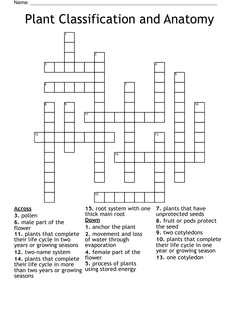 Plant Classification and Anatomy Crossword