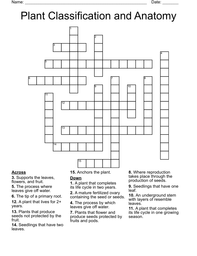 Plant Classification and Anatomy Crossword
