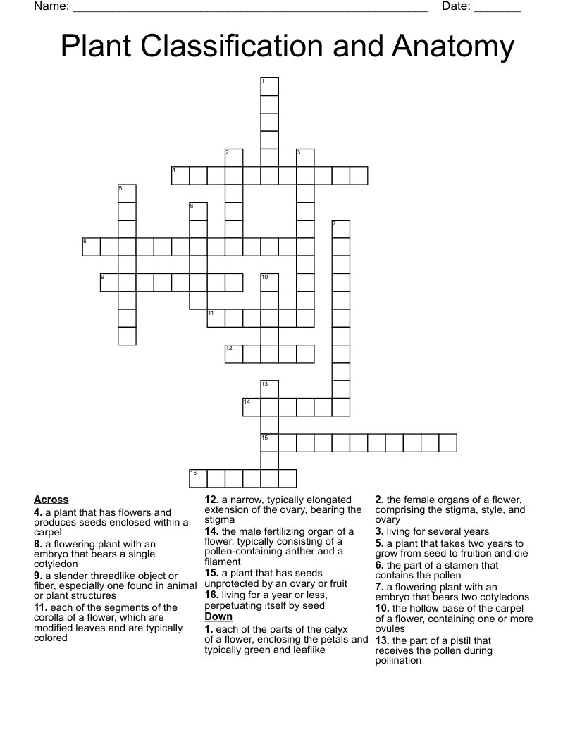 Plant Classification and Anatomy Crossword