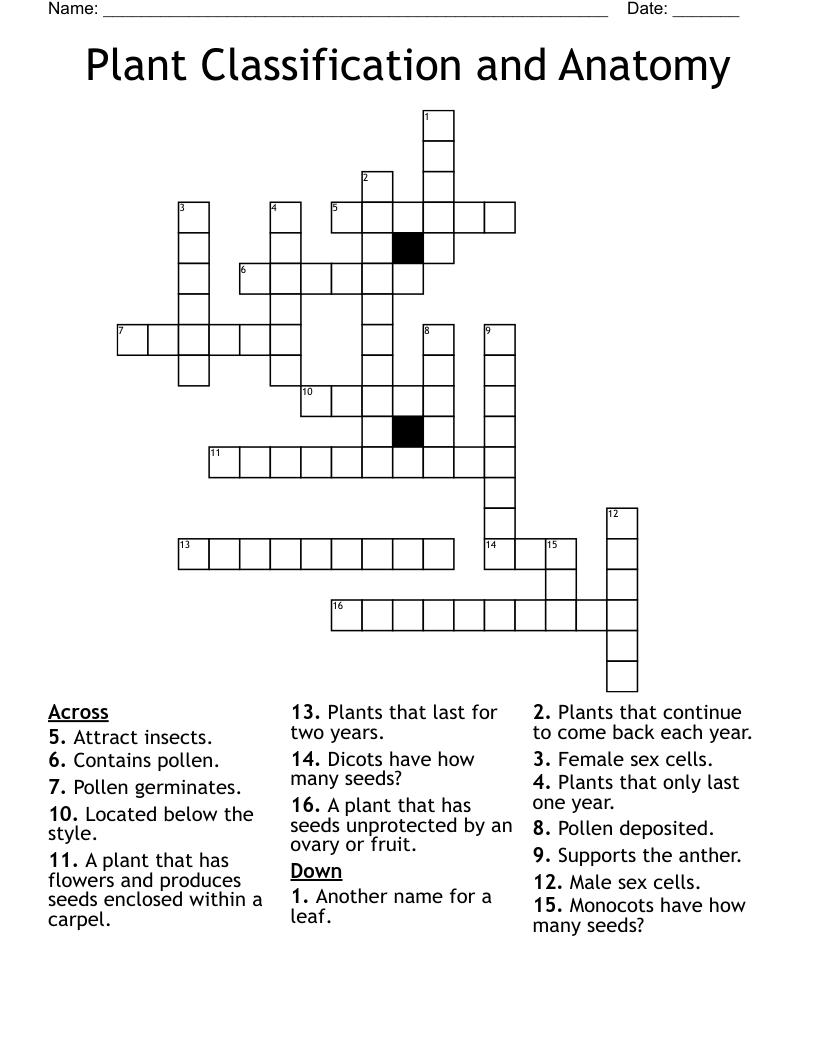 Plant Classification and Anatomy Crossword