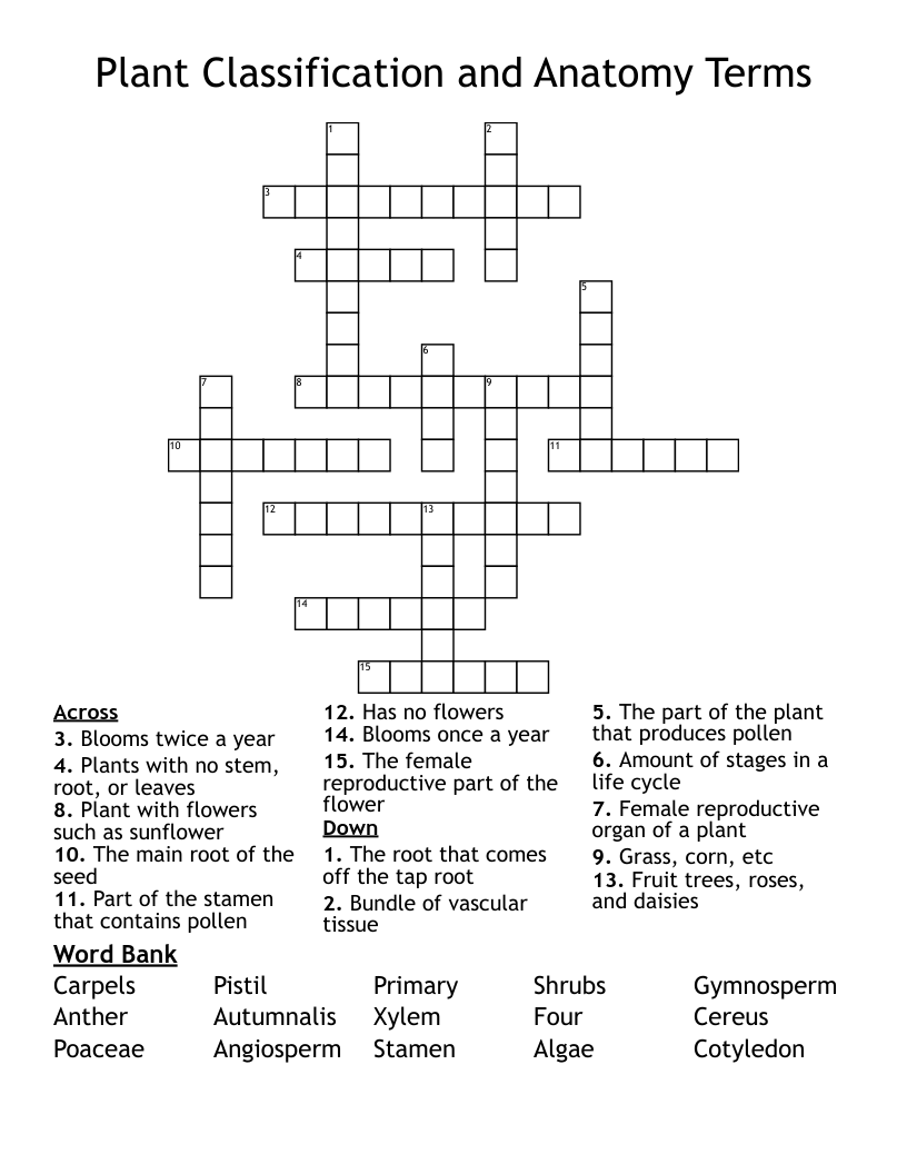 Plant Classification and Anatomy Terms Crossword